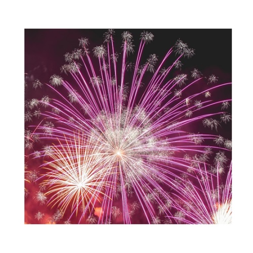 new years day in verbal behavior  category